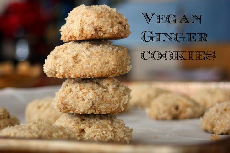 Vegan Ginger Cookies~Moira