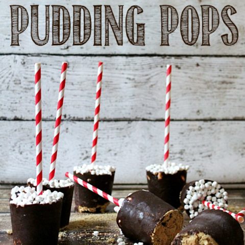 S'mores Pudding Pops