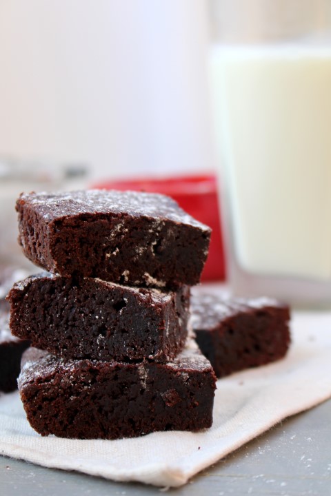 Fudgy Cocoa Brownies~Mallory