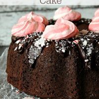 Dark Chocolate Peppermint Cake