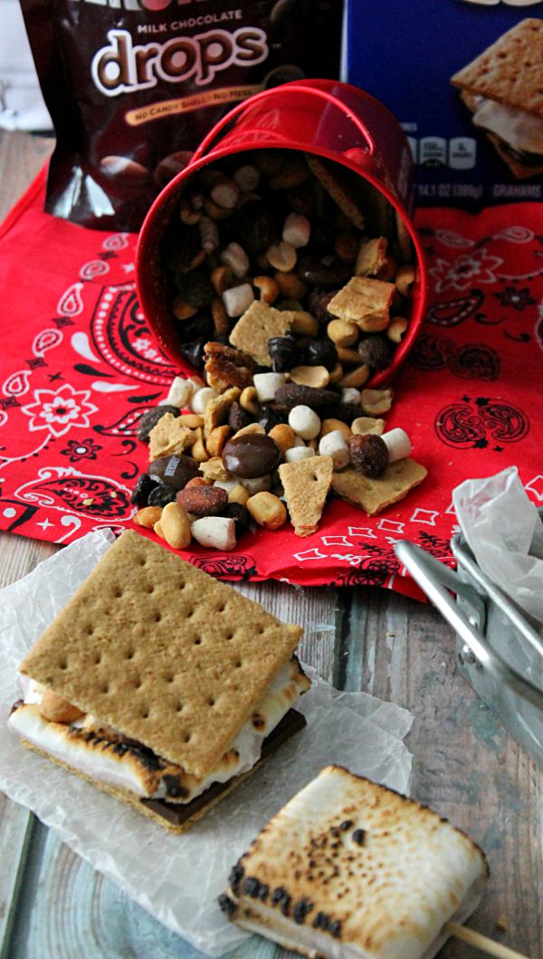 Trail Mix S’mores Bar