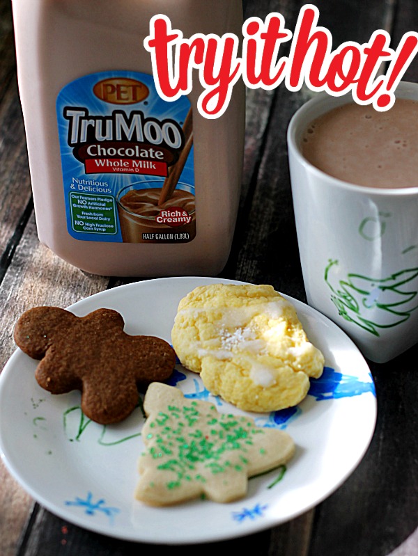 Christmas Crafts with TruMoo