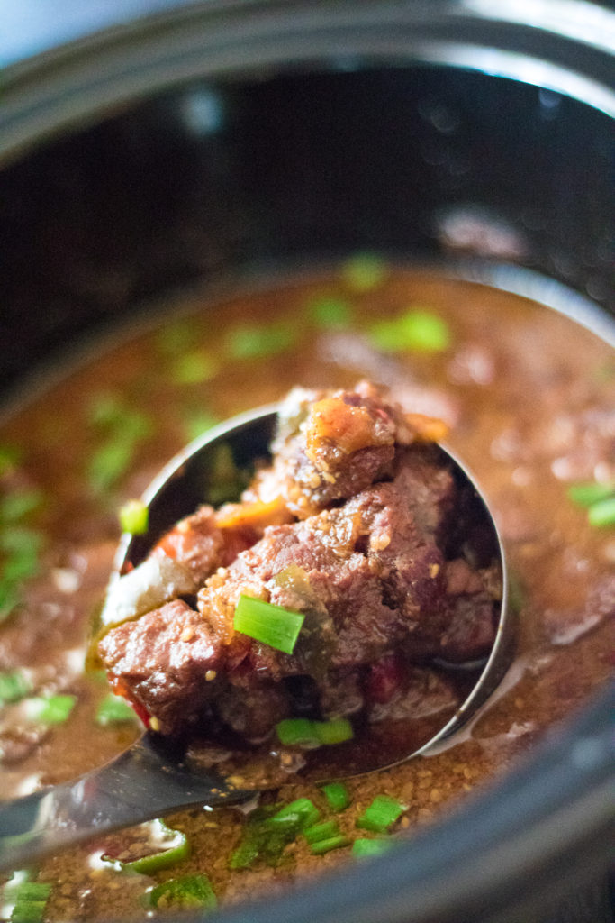 Slow Cooker Teriyaki Beef-2