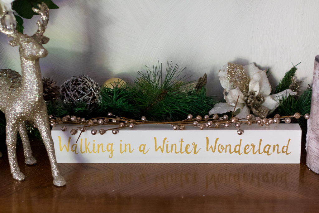 Walking in a Winter Wonderland (1 of 1)