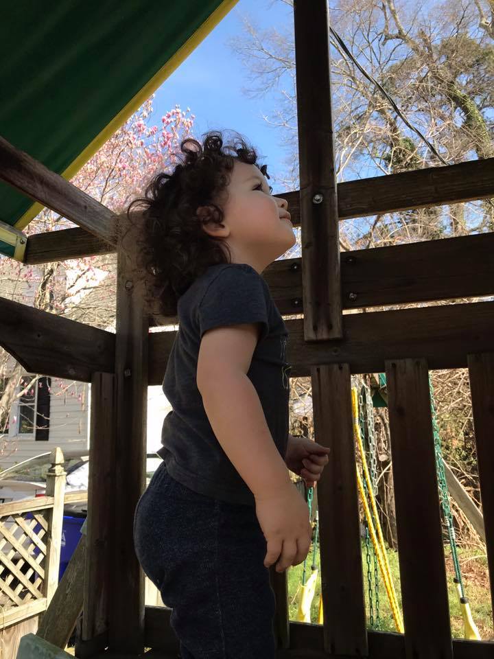 28279442_1627456034002717_8069217403969004216_n