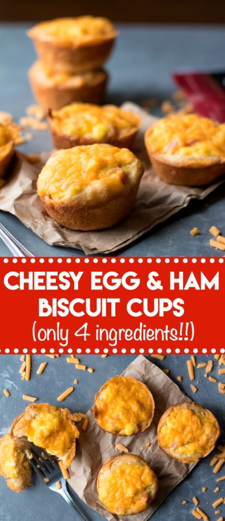 Cheesy Ham & Egg Biscuit Cups are an easy and delicious breakfast. Egg, cheese and ham all baked up in a biscuit cup is breakfast perfection!