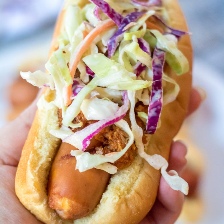Slaw Dog close up held in hand