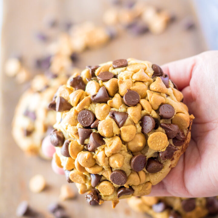 https://lifewiththecrustcutoff.com/wp-content/uploads/2022/09/Giant-Peanut-Butter-Chocolate-Cookies-Set-1-9-scaled-720x720.jpg