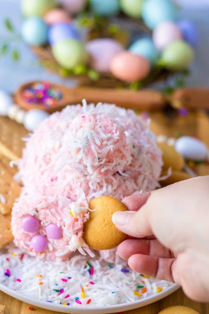 Close up shot of Bunny Butt Funfetti Dip on a plate with vanilla wafers and graham crackers around it and a cookie dipping into it