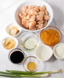 Slow Cooker Orange Chicken ingredient shot