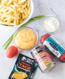 Copycat Taco Bell Nacho Supreme Fries ingredient shot