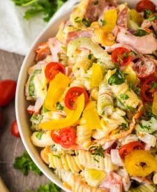 Hoagie Sub Pasta Salad in a bowl over head shot