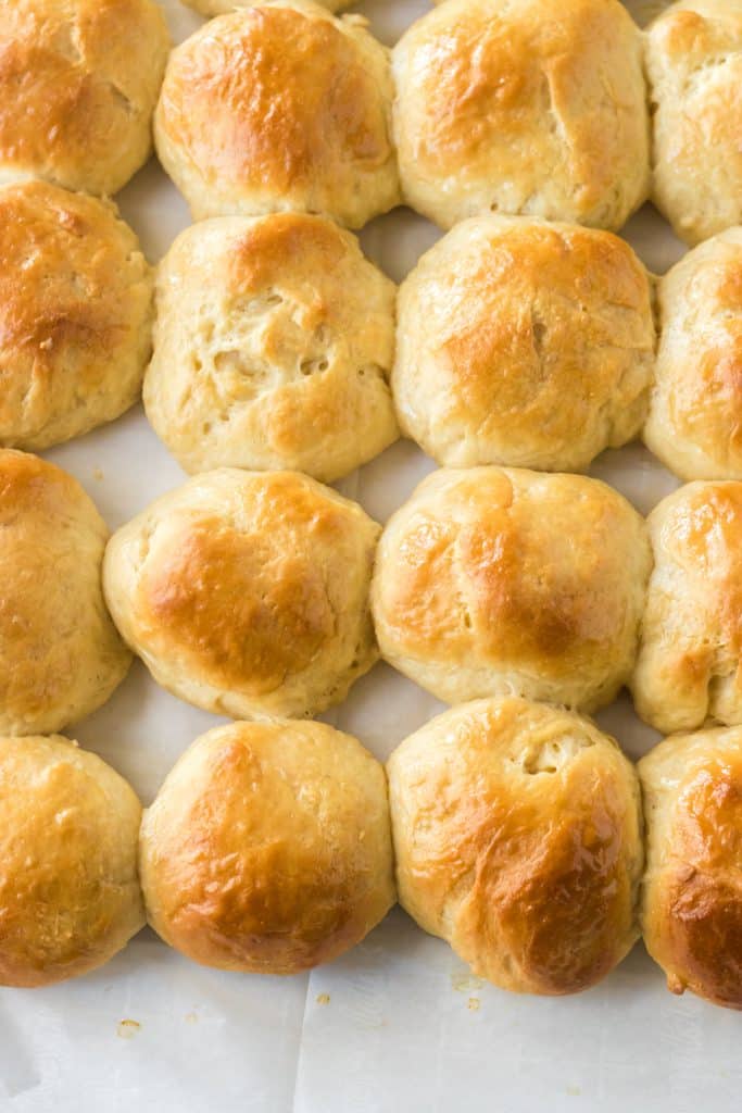 Homemade Hawaiian Rolls baked on pan