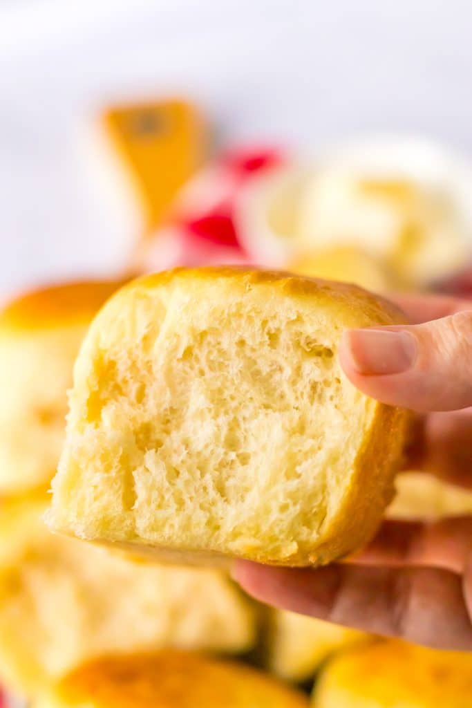 Lunch Lady Rolls in hand