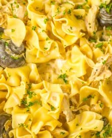 Slow Cooker Chicken Stroganoff close up shot
