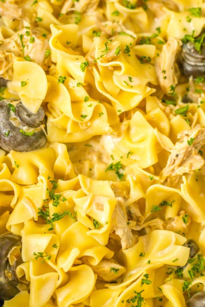 Slow Cooker Chicken Stroganoff close up shot