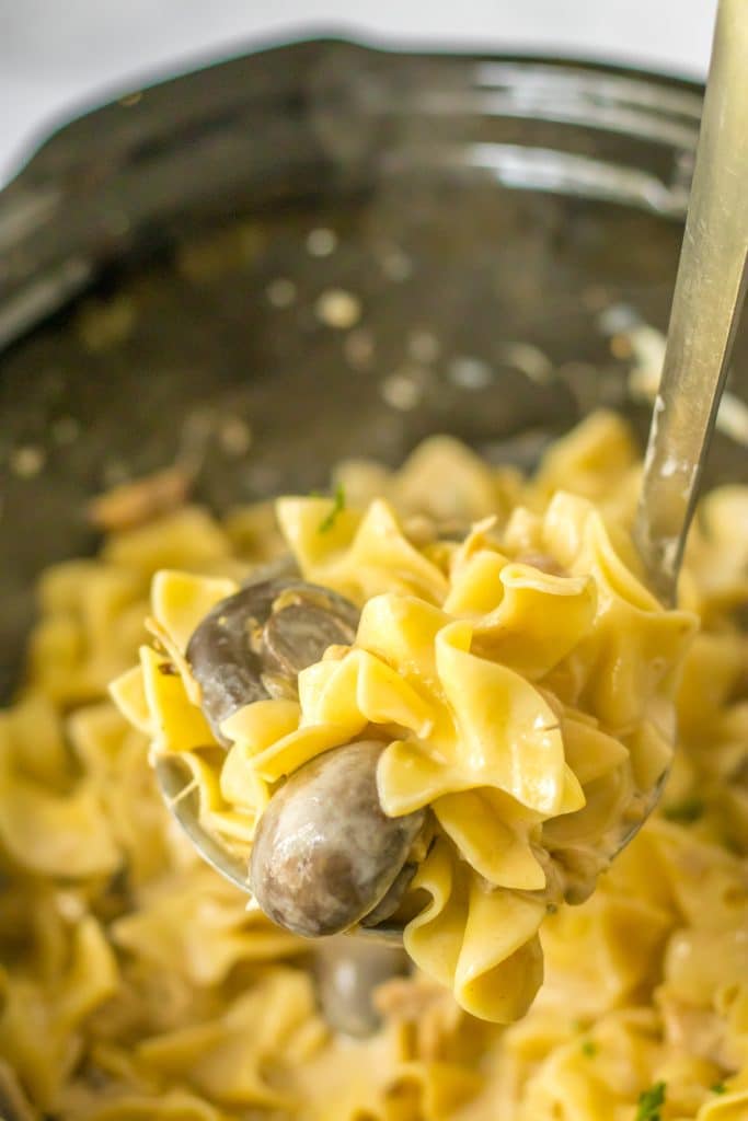 Slow Cooker Chicken Stroganoff in slow cooker in spoon