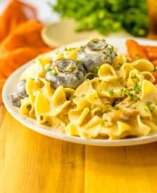 Slow Cooker Chicken Stroganoff plated