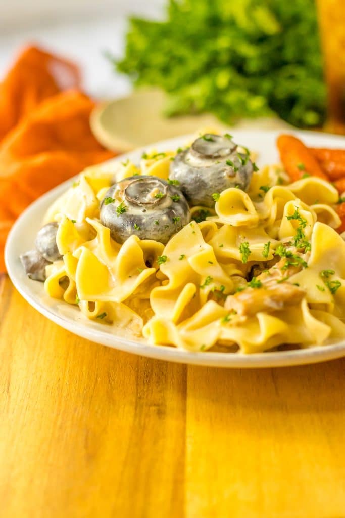 Slow Cooker Chicken Stroganoff plated