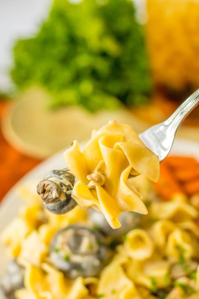 Slow Cooker Chicken Stroganoff on fork