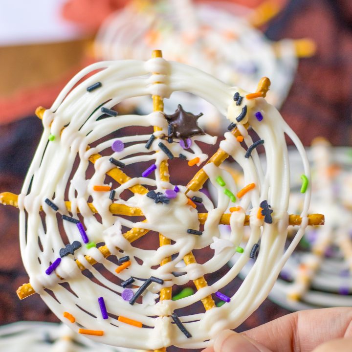 Spiderweb Pretzel Bark in hand