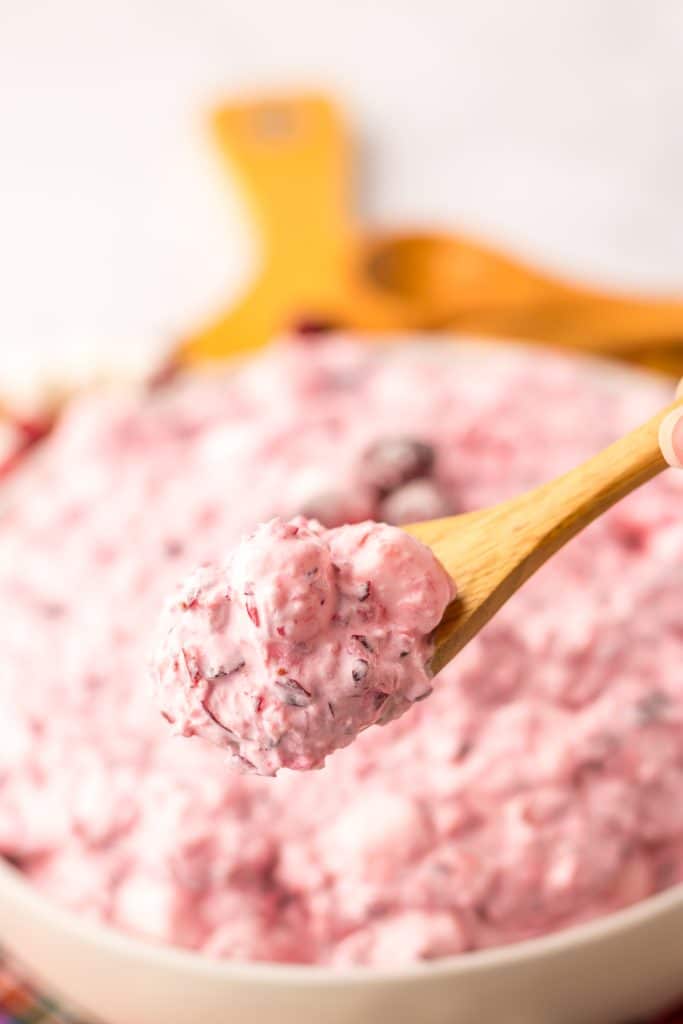 Cranberry Fluff in a spoon