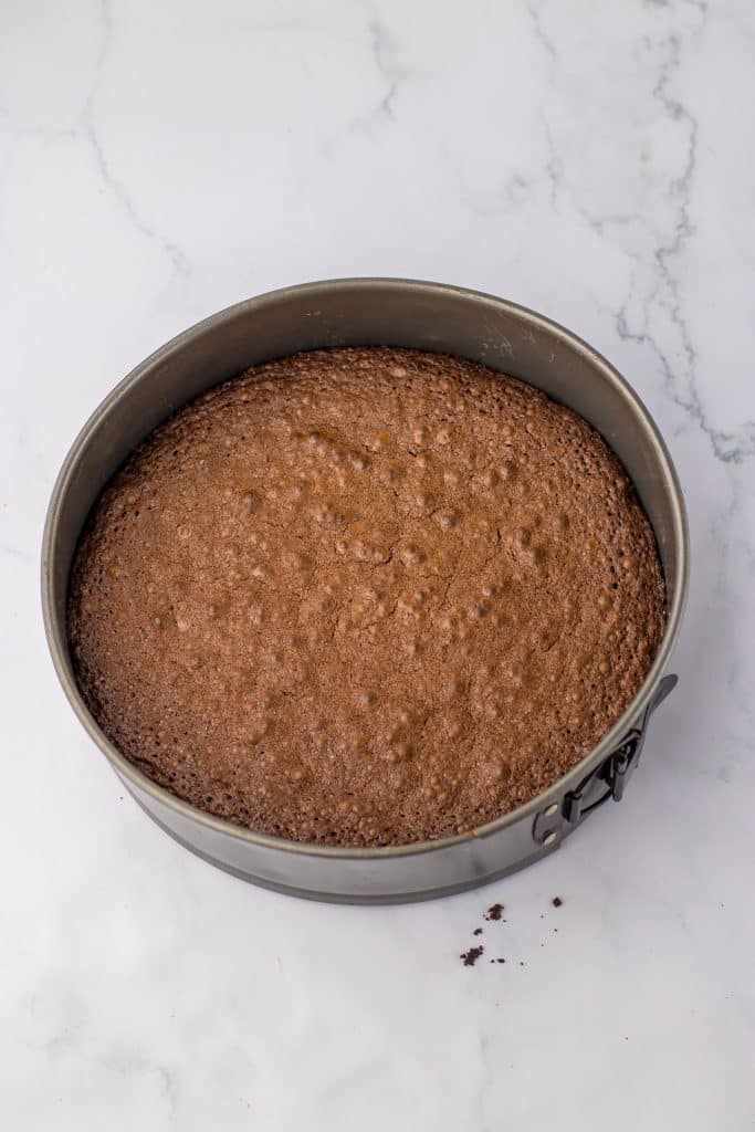 Cosmic Brownie Cheesecake crust