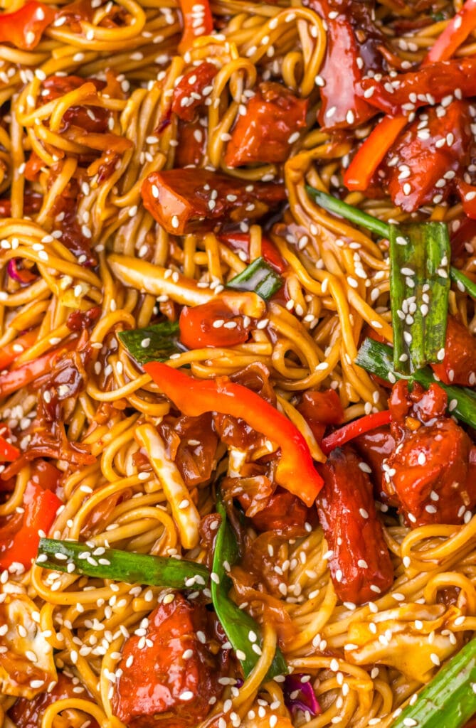 The Best Pork Lo Mein close up