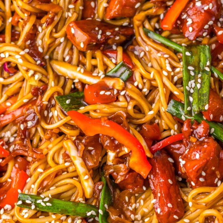 The Best Pork Lo Mein close up