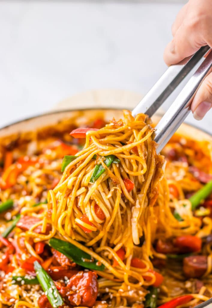 The Best Pork Lo Mein completed