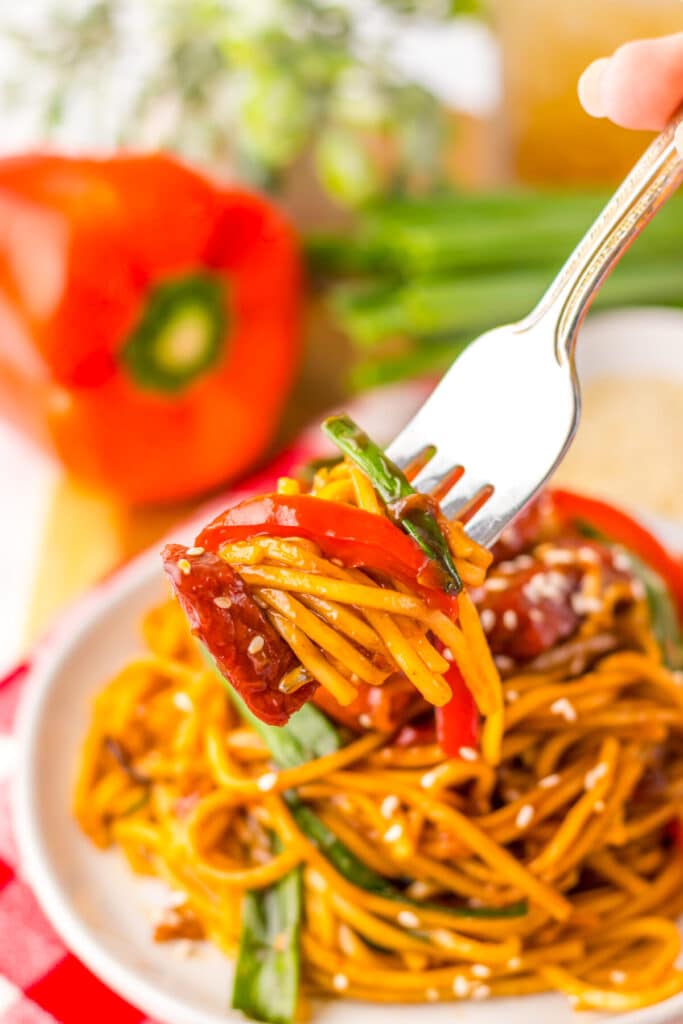 The Best Pork Lo Mein on fork