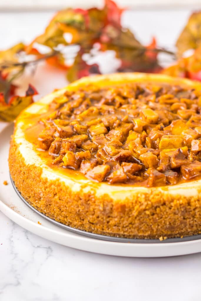 Caramel Apple Cheesecake finished