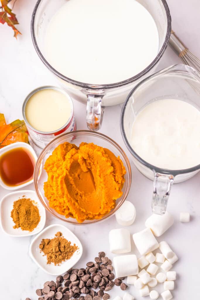 Slow Cooker Pumpkin Spice Hot Chocolate ingredients