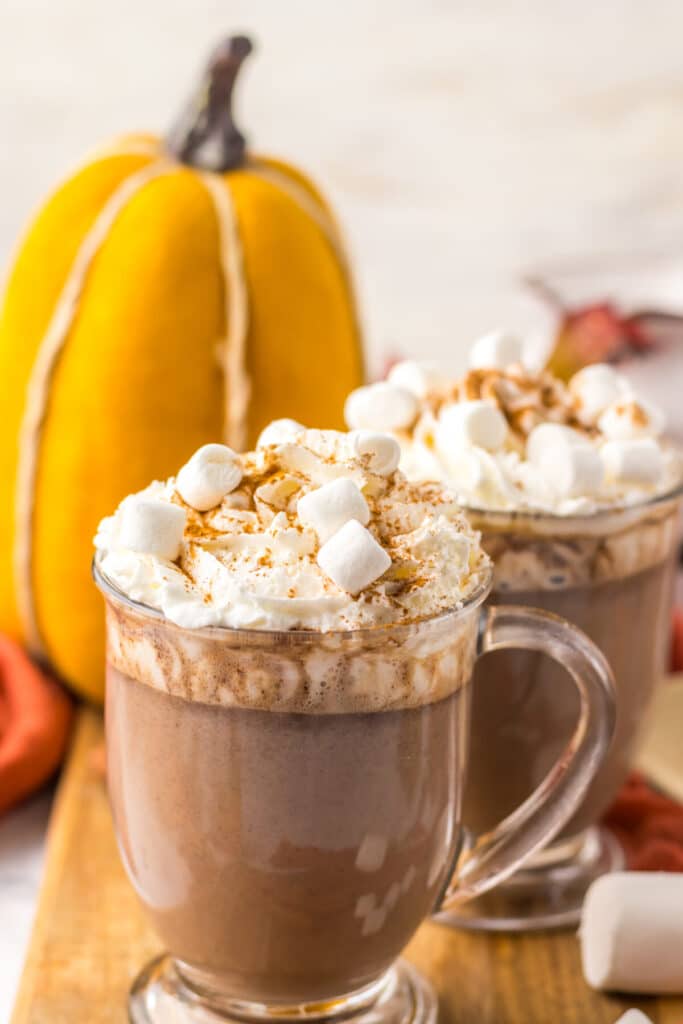 Slow Cooker Pumpkin Spice Hot Chocolate in mugs