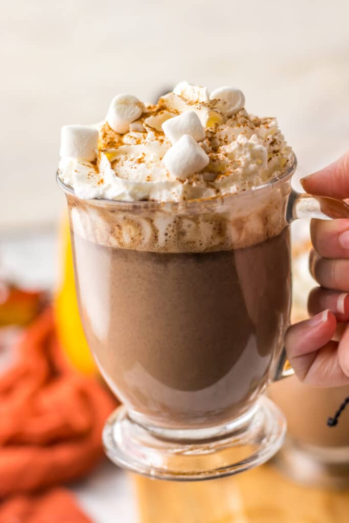 Slow Cooker Pumpkin Spice Hot Chocolate in mugs