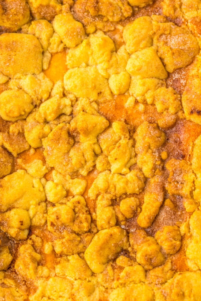 Pumpkin Cheesecake Snickerdoodle Bars baked