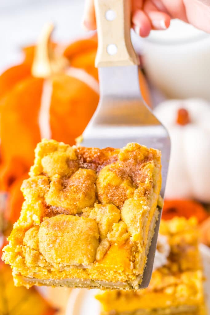 Pumpkin Cheesecake Snickerdoodle Bars on spatula