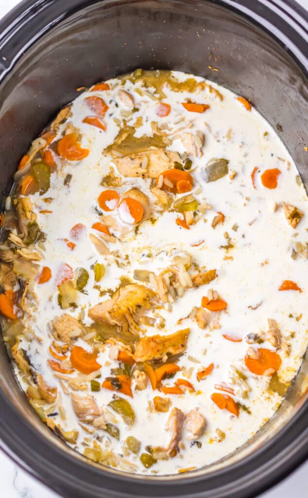 Slow Cooker Turkey and Rice Soup in slow cooker