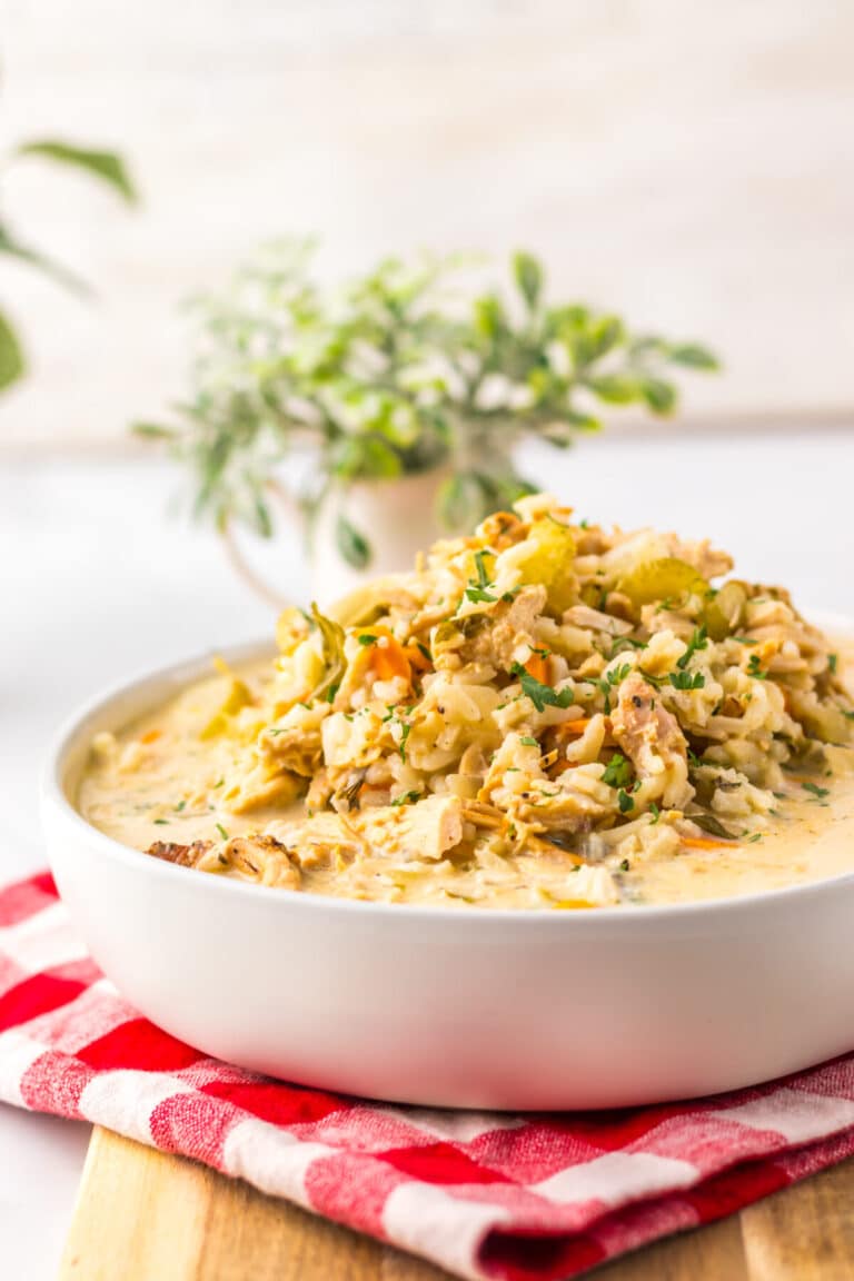 Slow Cooker Turkey and Rice Soup plated