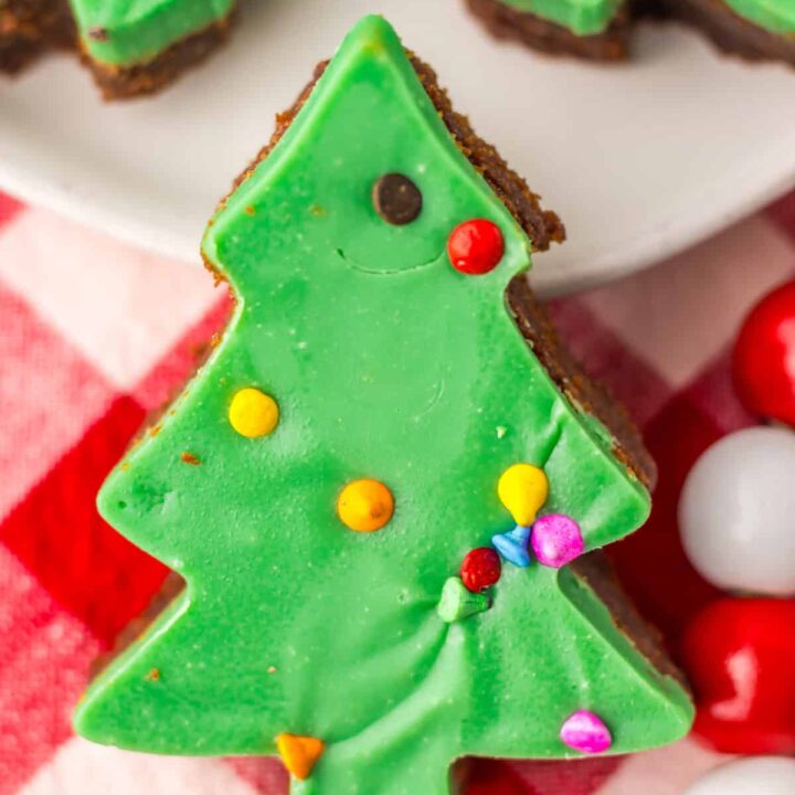 Cosmic Brownie Christmas Trees plated