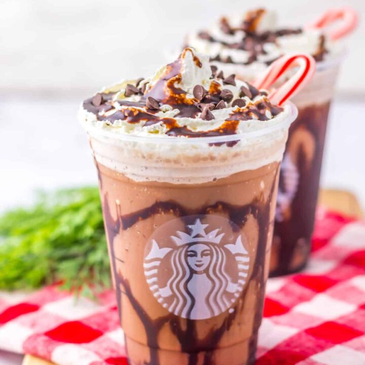 Starbucks Coffee - モニャフム Starbucks-Peppermint-Mocha-