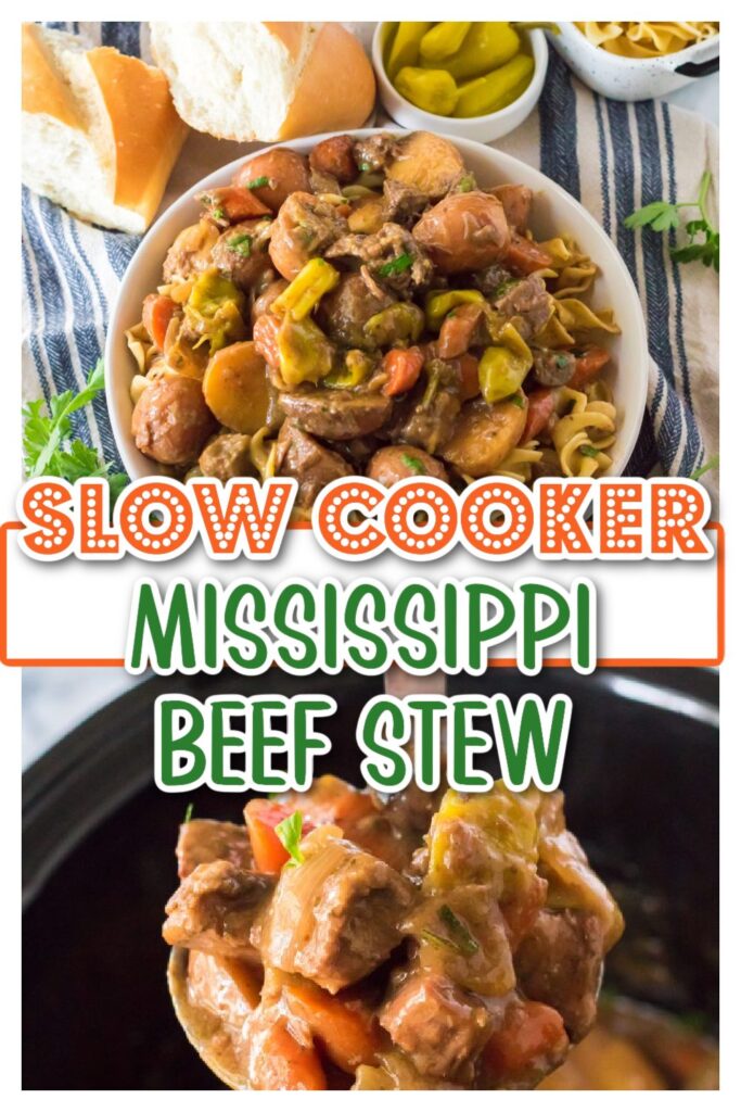 Slow Cooker Mississippi Beef Stew pin
