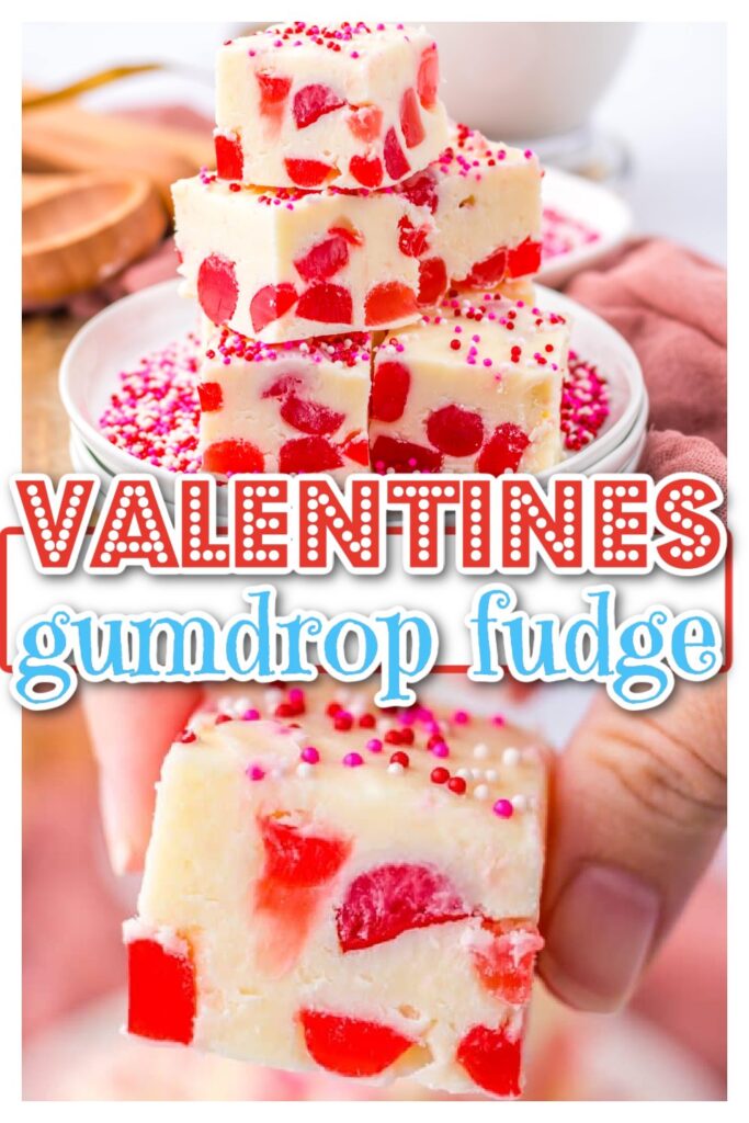 Valentine's Gumdrop Fudge pin