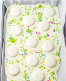 Bunny Butt Bark process