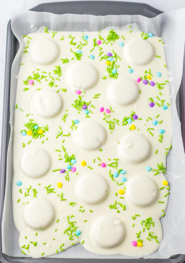 Bunny Butt Bark process