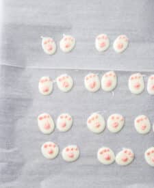 Bunny Butt Bark feet