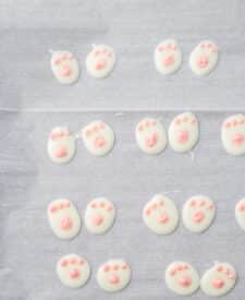 Bunny Butt Bark feet