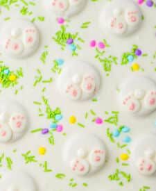 Bunny Butt Bark close up