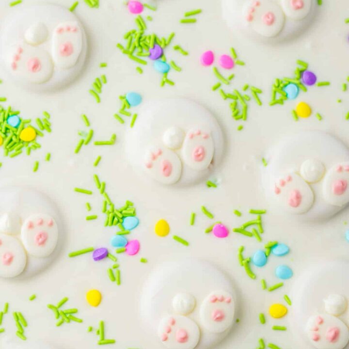 Bunny Butt Bark close up