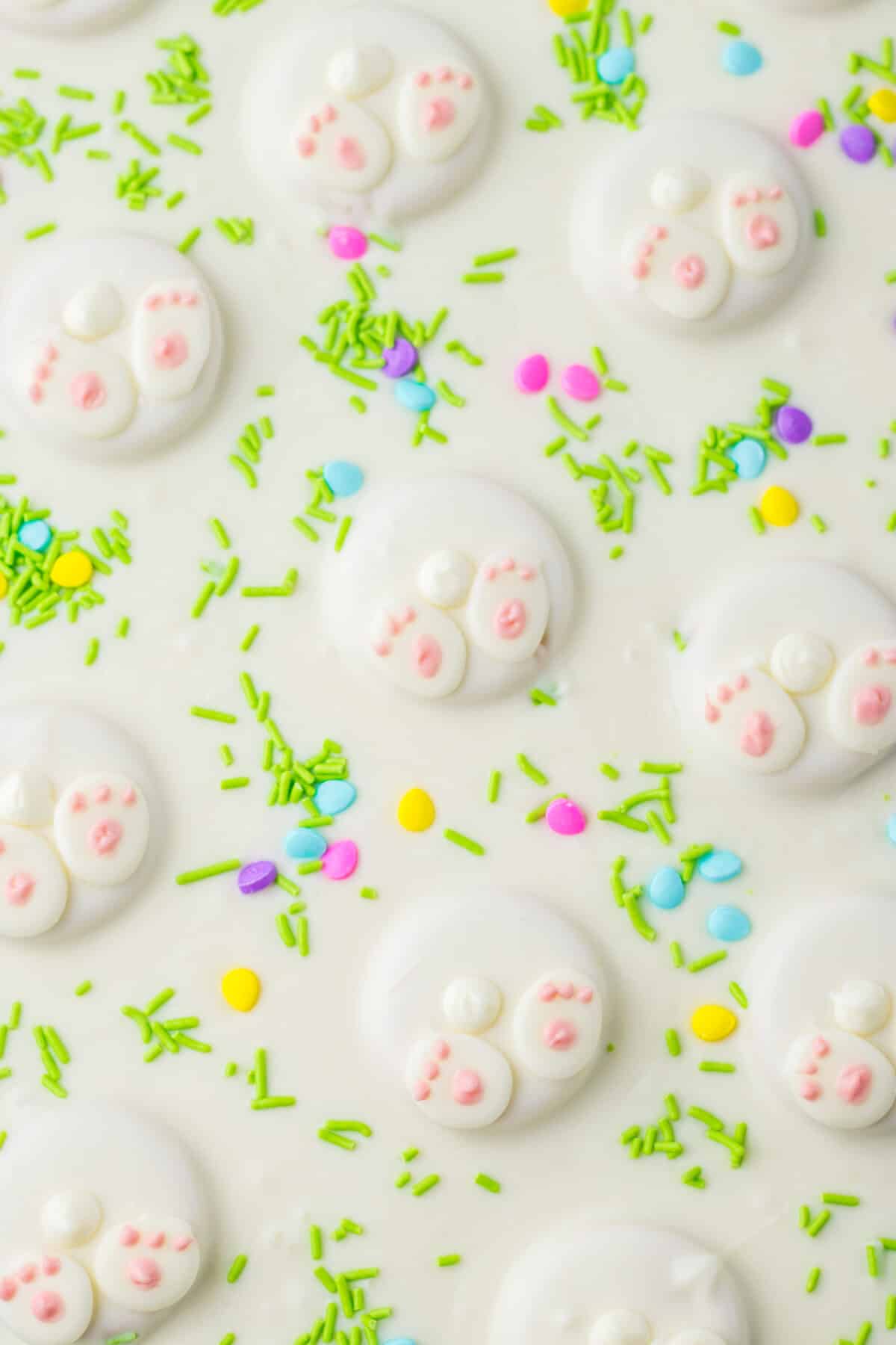 Bunny Butt Bark close up